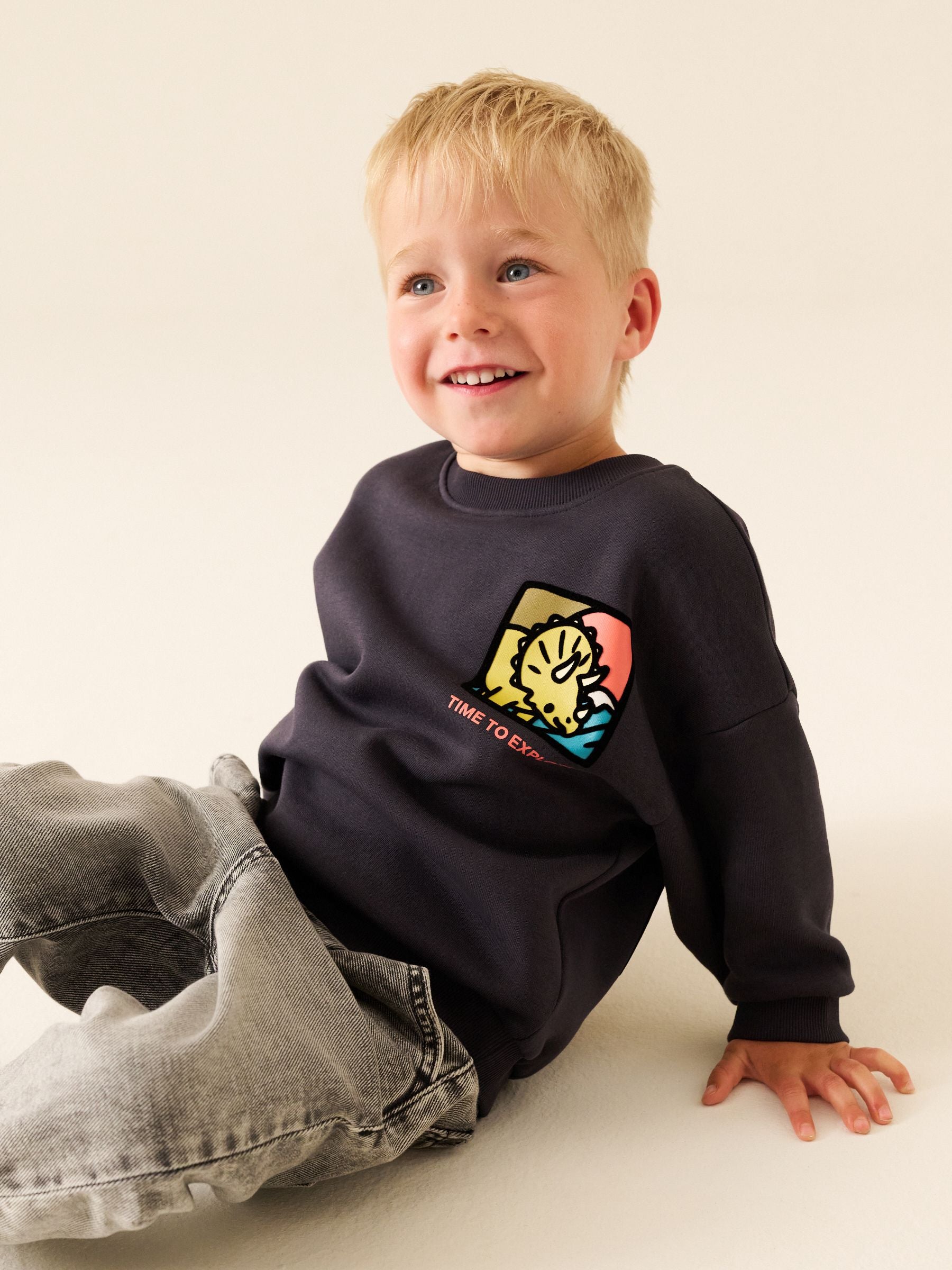 Dsiney Kidz - Dark Grey Dinosaur Back Printed Crew Neck Sweat Top (3mths-7yrs) image 3