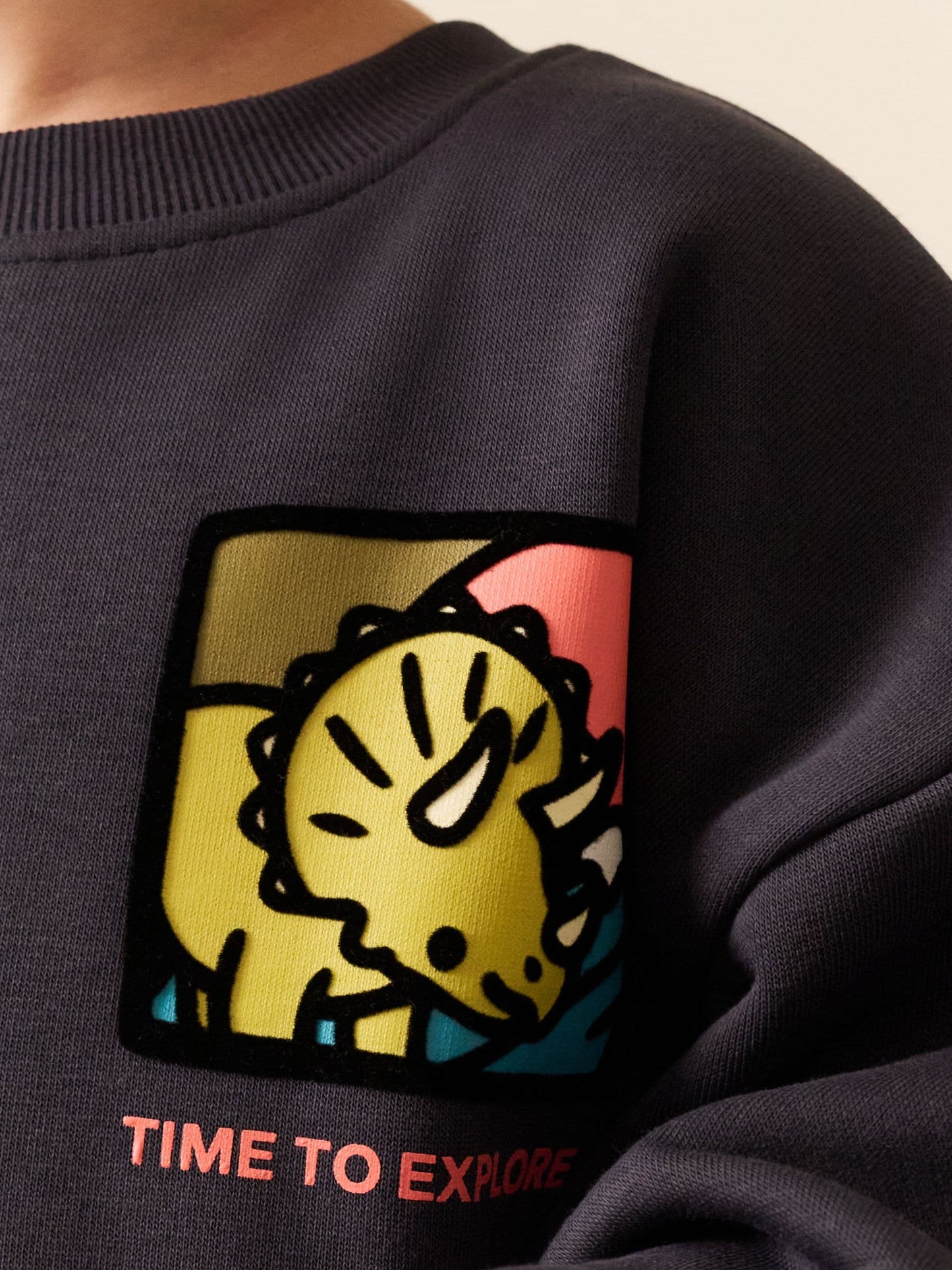 Dsiney Kidz - Dark Grey Dinosaur Back Printed Crew Neck Sweat Top (3mths-7yrs) image 4