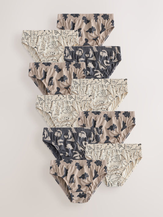 Neutral Dinosaur Briefs 10 Pack (1.5-10yrs) - image 1