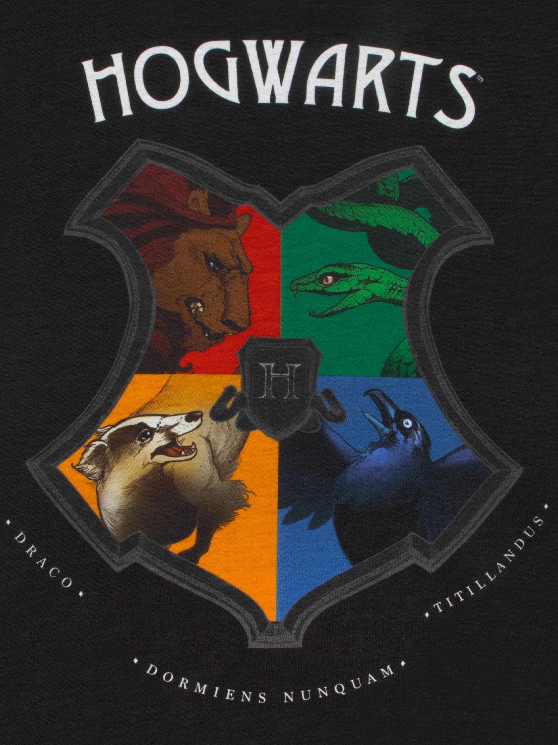 Dsiney Kidz - Character Blue Hogwarts Crest Short Sleeve Pyjamas image 5