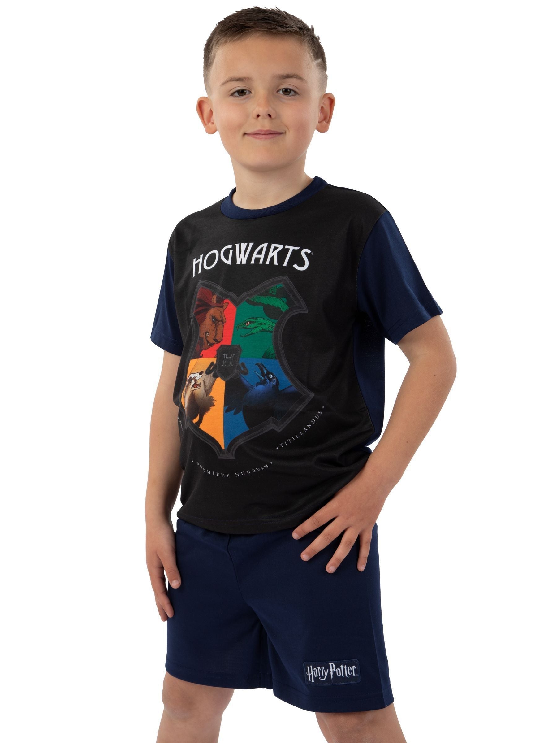 Dsiney Kidz - Character Blue Hogwarts Crest Short Sleeve Pyjamas image 8