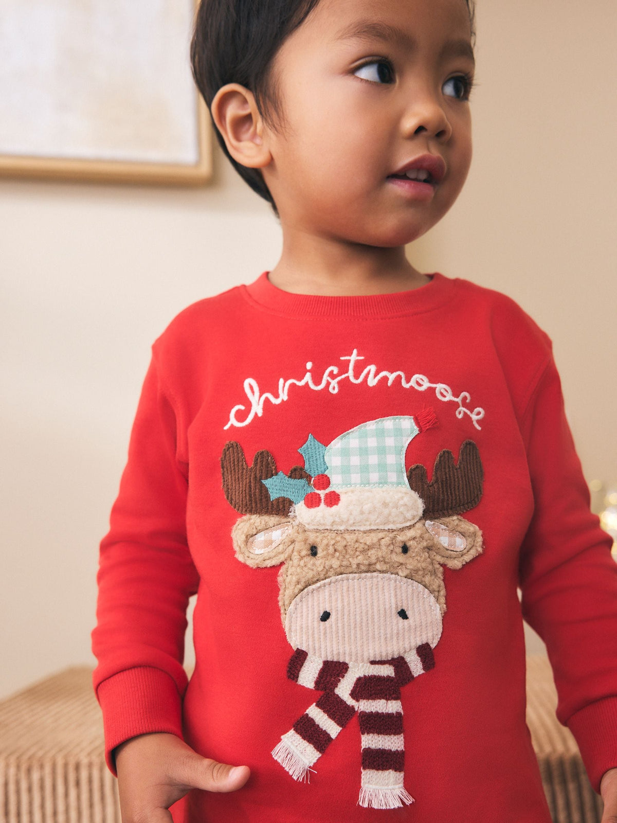 Red Christmoose Check Christmas Pyjamas (9mths-10yrs) - image 4