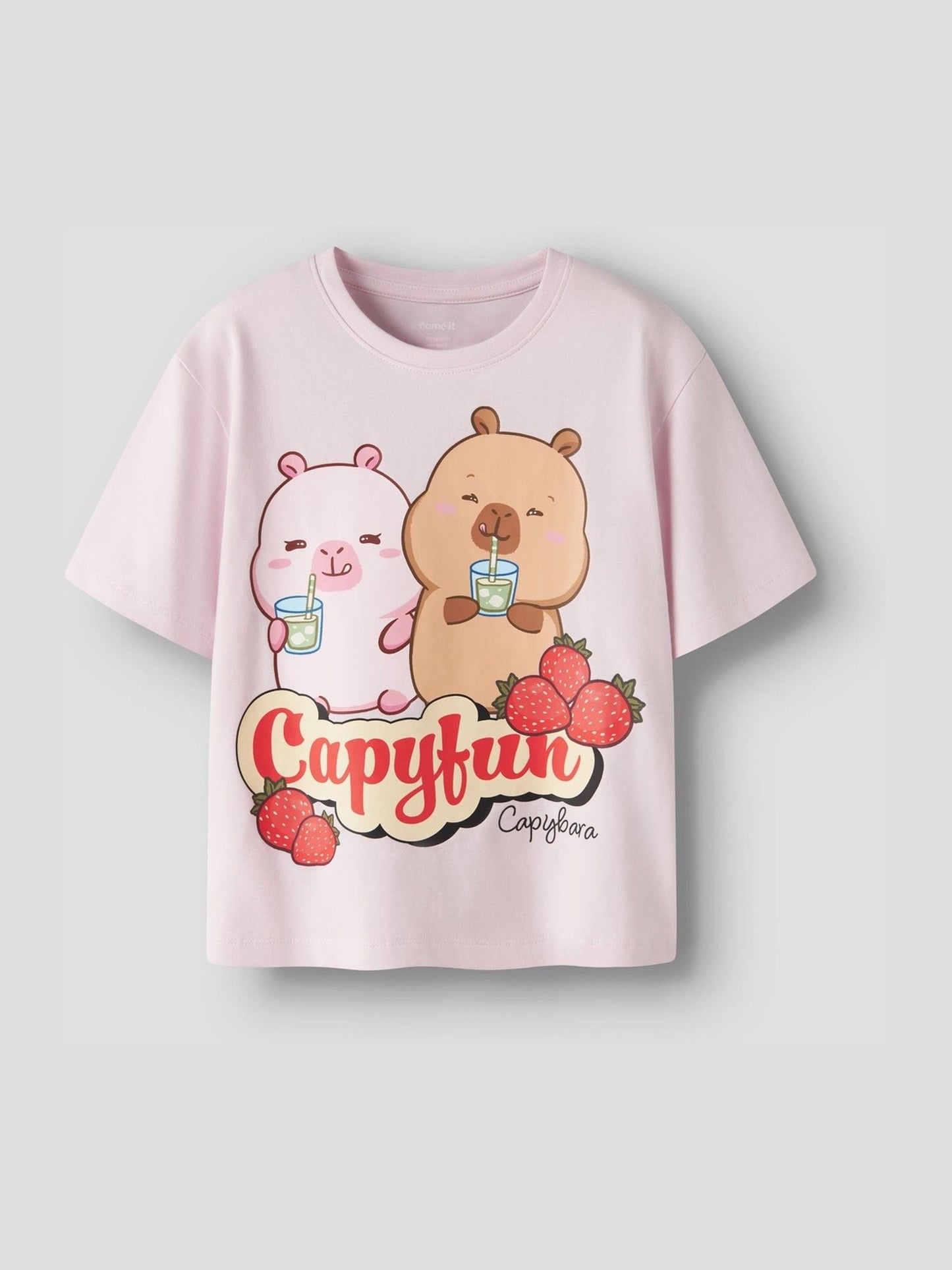 Dsiney Kidz - Name It Pink Capybara Short Sleeve Pink Boxy T-Shirt image 1