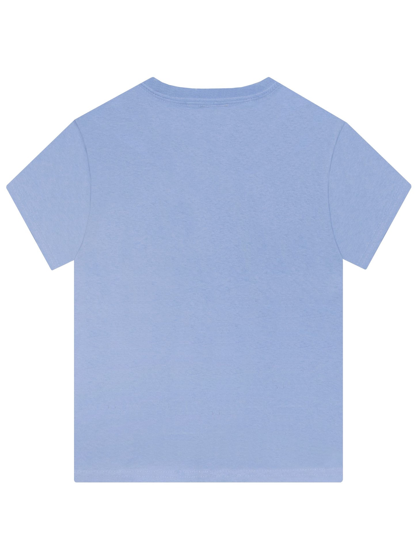 Character Blue PAW Patrol Everest T-Shirt image 2