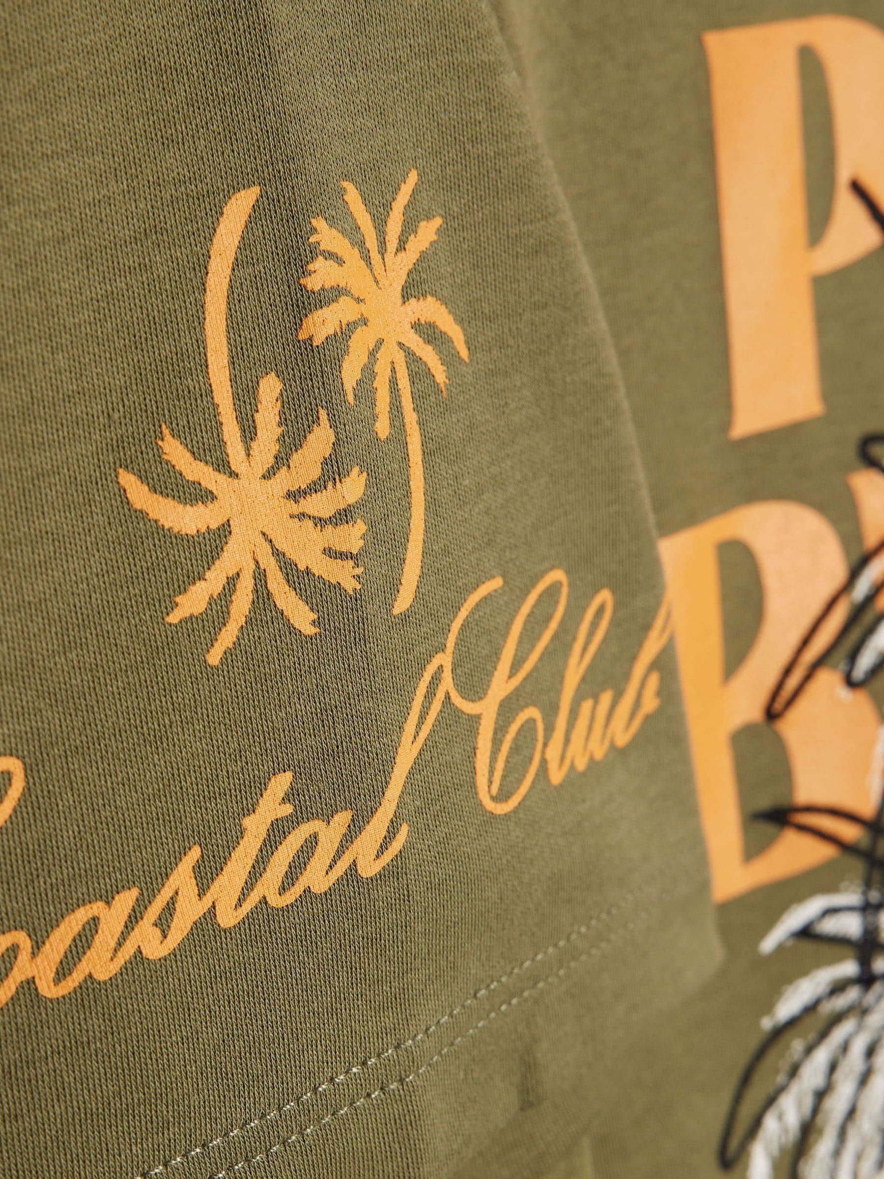 Dsiney Kidz - River Island Green Oversized Palm Beach Graphic T-Shirt & Shorts Set image 5