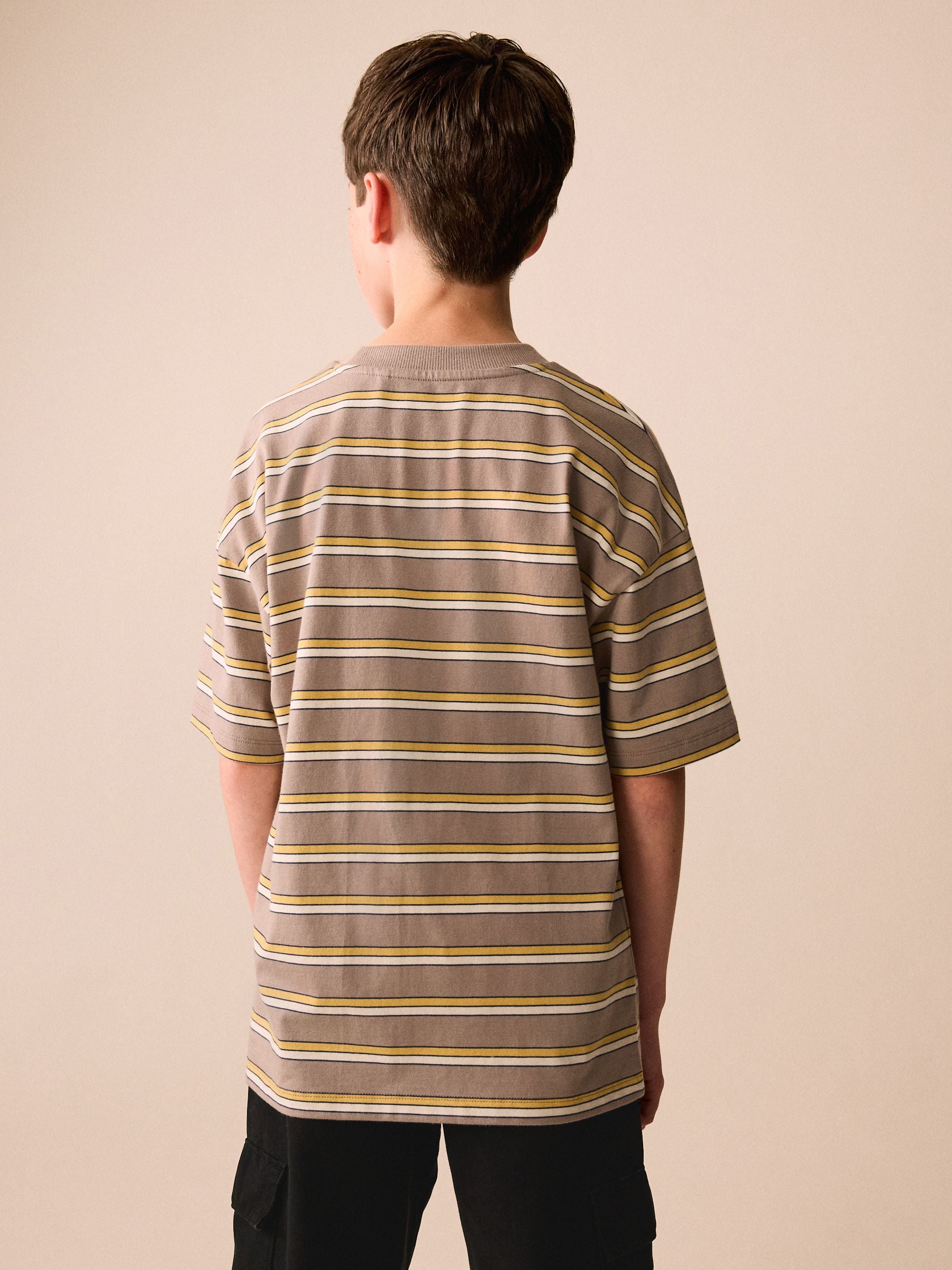 Dsiney Kidz - Mink Brown Stripe Short Sleeve Graphic T-Shirt (3-16yrs) image 3