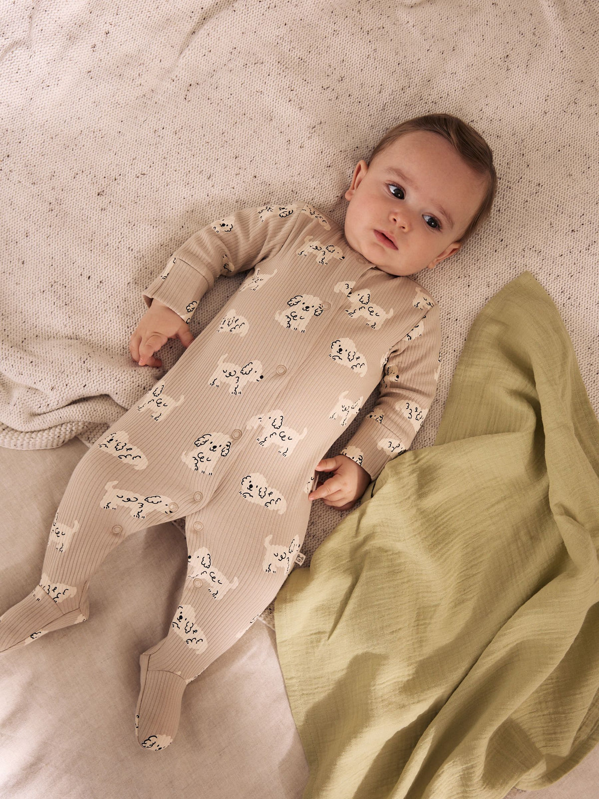 Grey Dog Baby Sleepsuits 4 Pack (0mths-2yrs) - image 2