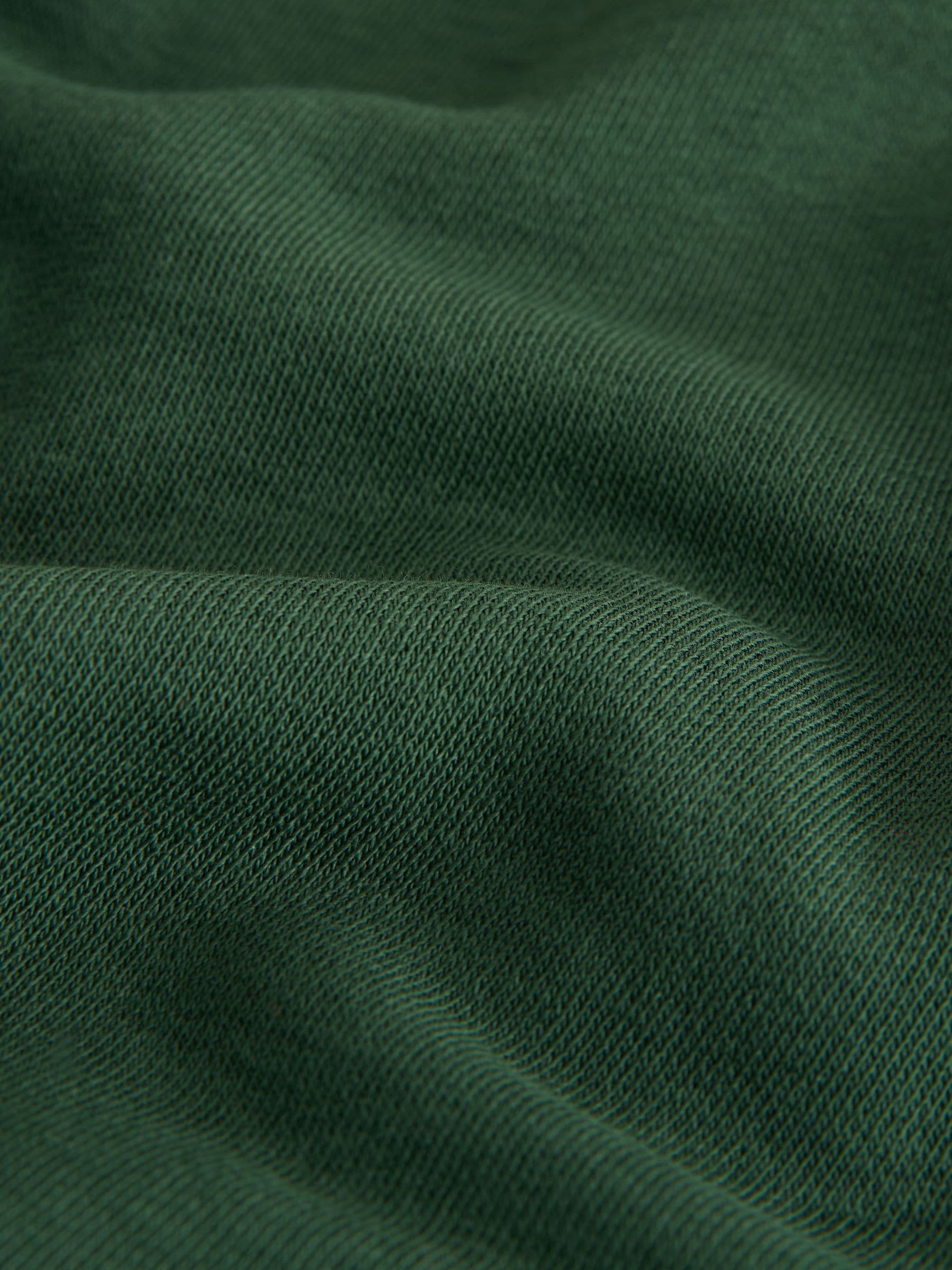 Dsiney Kidz - Clarks Green Unisex Crew Neck School 2 Pack Sweat Top image 5