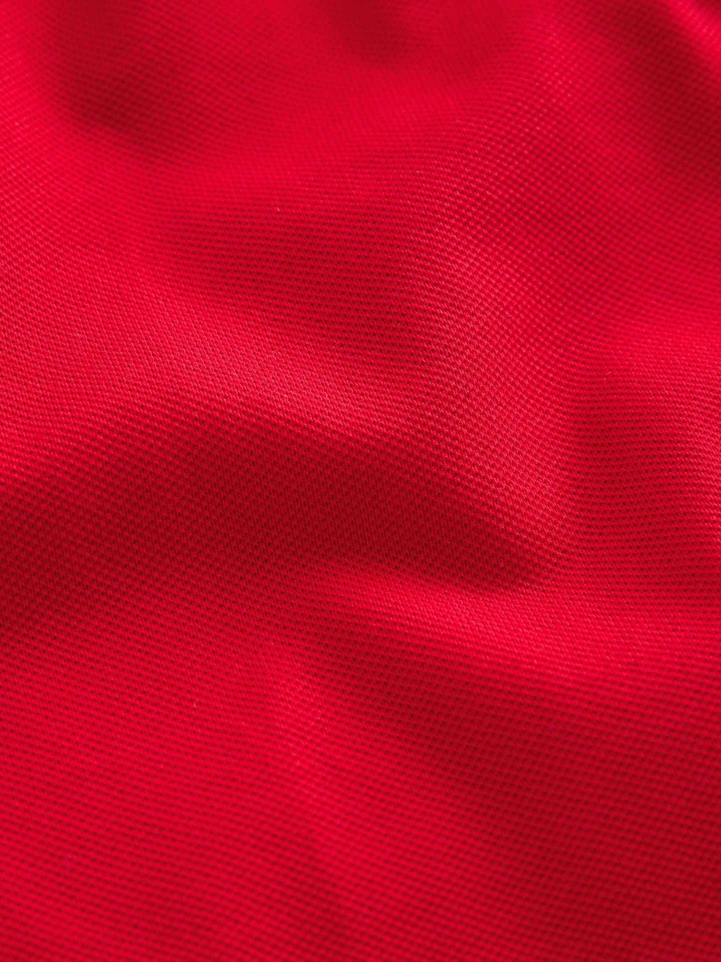 Dsiney Kidz - Clarks Red Short Sleeve School Polo Shirts 3 Pack image 7