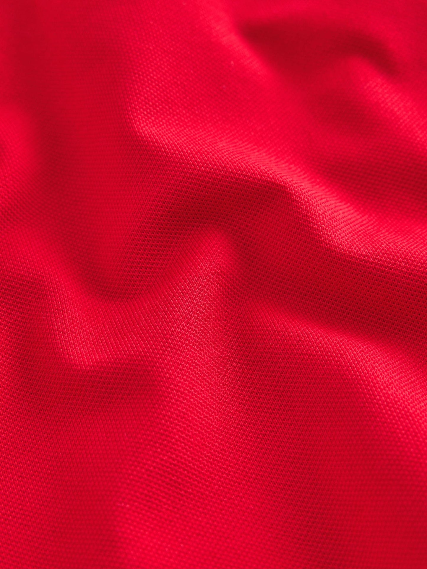 Dsiney Kidz - Clarks Red Short Sleeve School Polo Shirts 3 Pack image 7