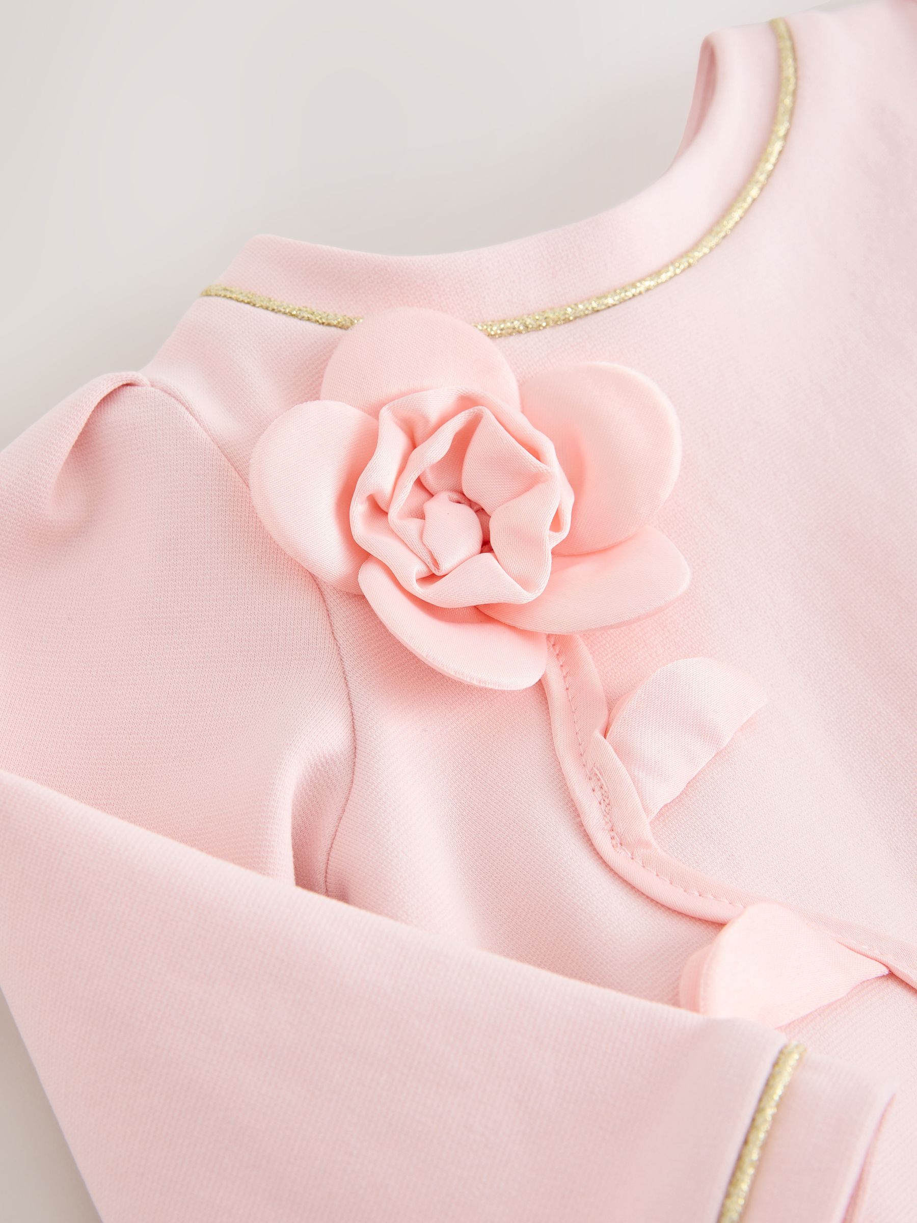 Baker by Ted Baker 3D Flower Placement Ponte Dress image 4