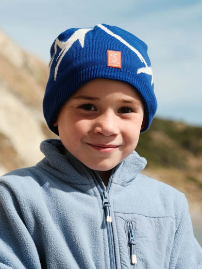 Sealskinz Blue Barton Waterproof Cold Weather Beanie image 2