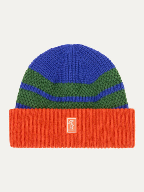 Sealskinz Blue Apton Waterproof Cold Weather Striped Roll Cuff Beanie image 1