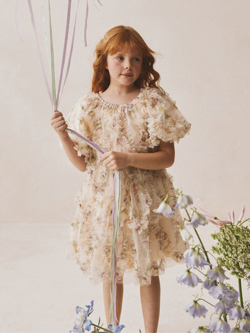Dsiney Kidz - Cream/Pink Floral Floral 3D Ruffle Mesh Occasion Dress (3-16yrs) image 1