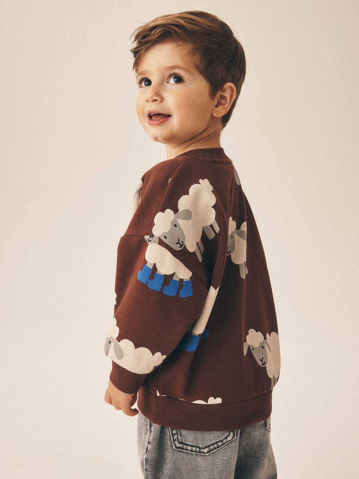 Dsiney Kidz - Brown Sheep All Over Printed Crew Neck Sweat Top (3mths-7yrs) image 3