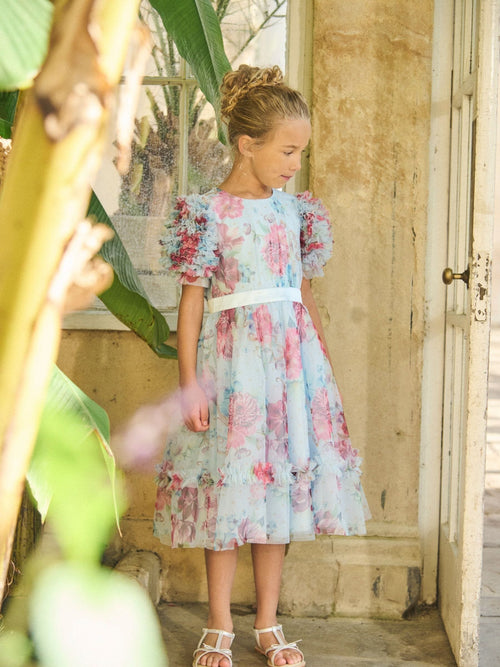 Dsiney Kidz - Angel & Rocket Blue Florence Blush Ruffle Sleeve Mesh Dress image 1
