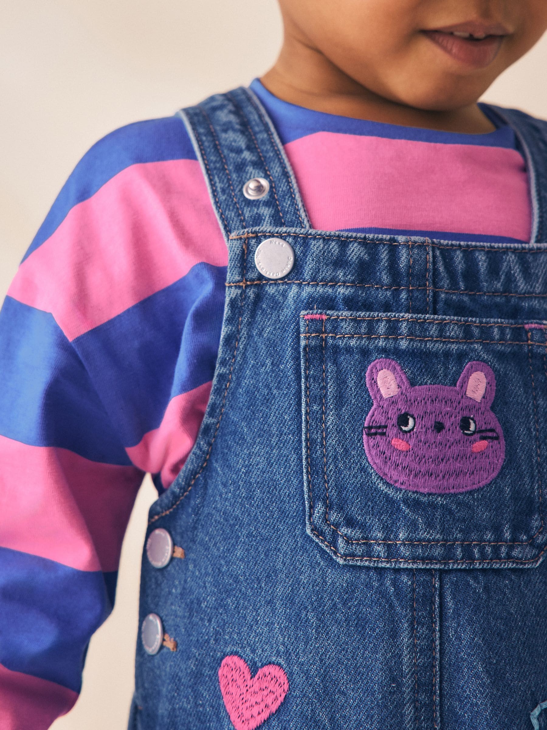 Blue/ Pink Stripe Embroidered Denim Dunagree Set (3mths-7yrs) image 5