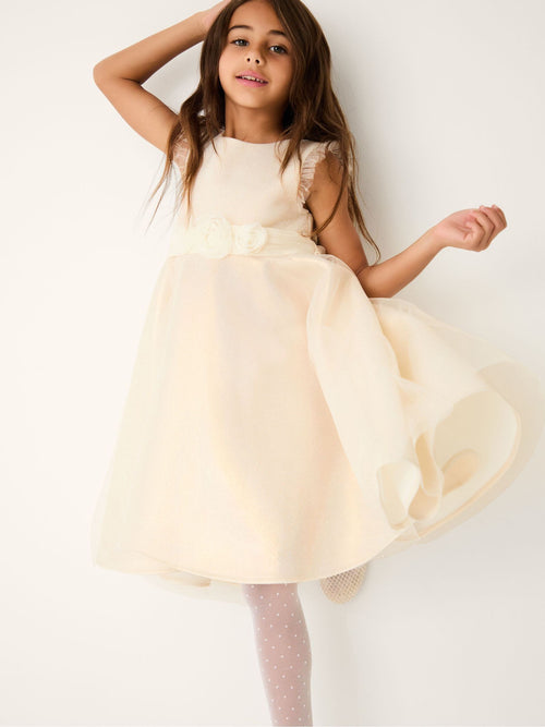 Dsiney Kidz - Monsoon Gold Principesa Appliqué Rose Sparkle Dress image 1