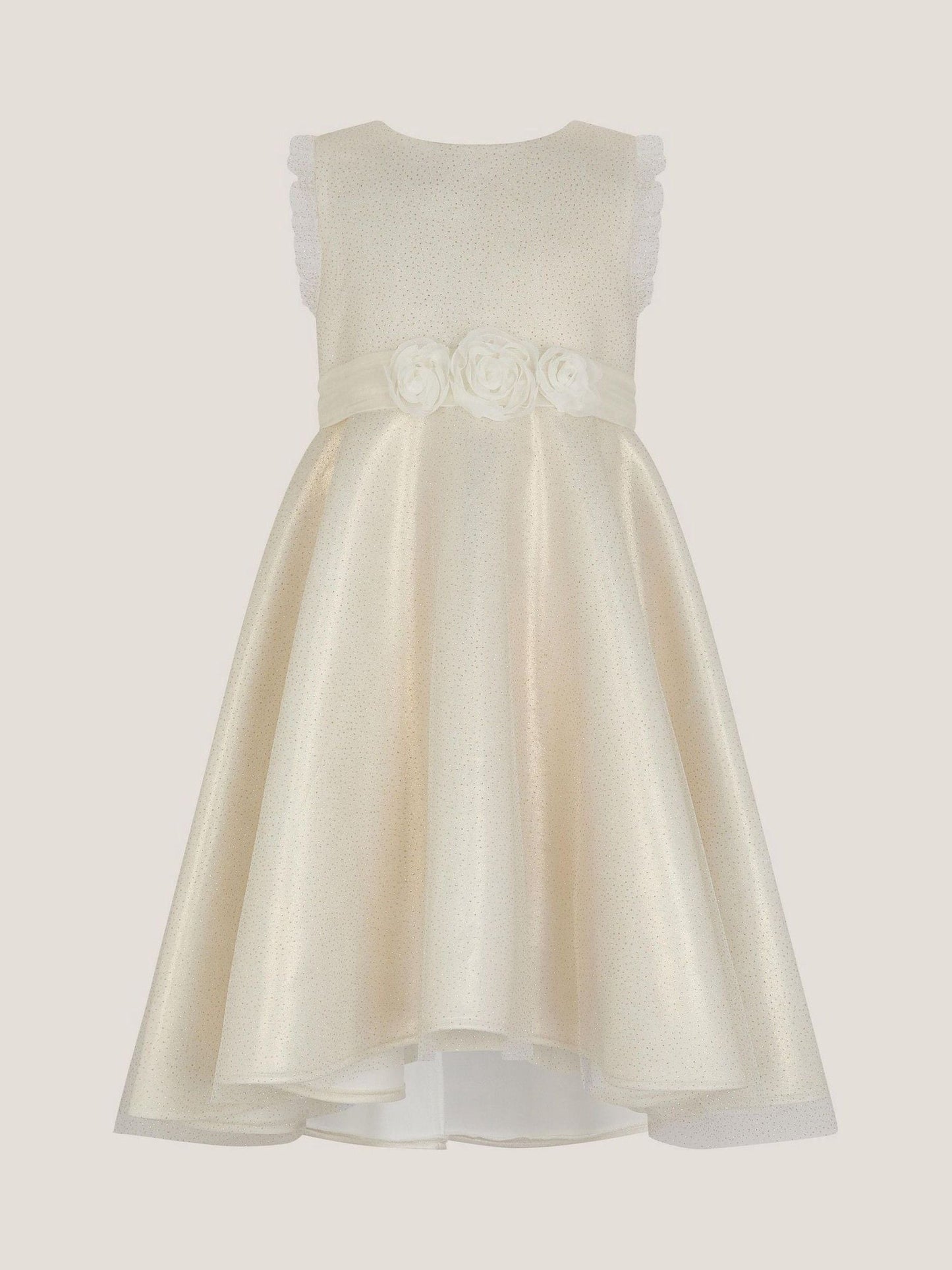 Monsoon Gold Principesa Appliqué Rose Sparkle Dress image 2