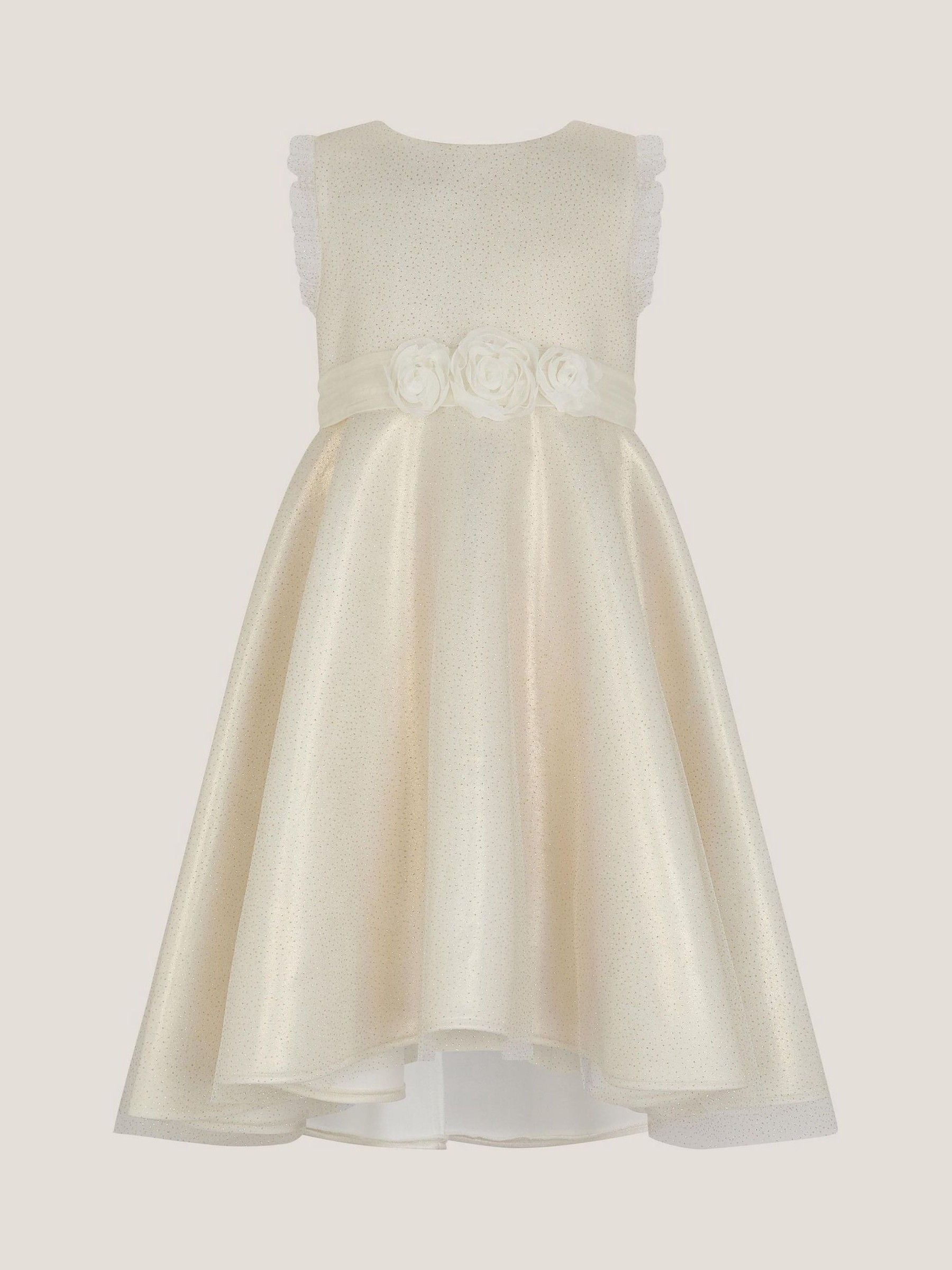 Monsoon Gold Principesa Appliqué Rose Sparkle Dress image 2