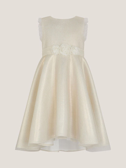 Monsoon Gold Principesa Appliqué Rose Sparkle Dress image 2