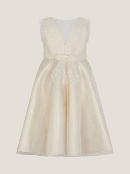 Monsoon Gold Principesa Appliqué Rose Sparkle Dress image 3