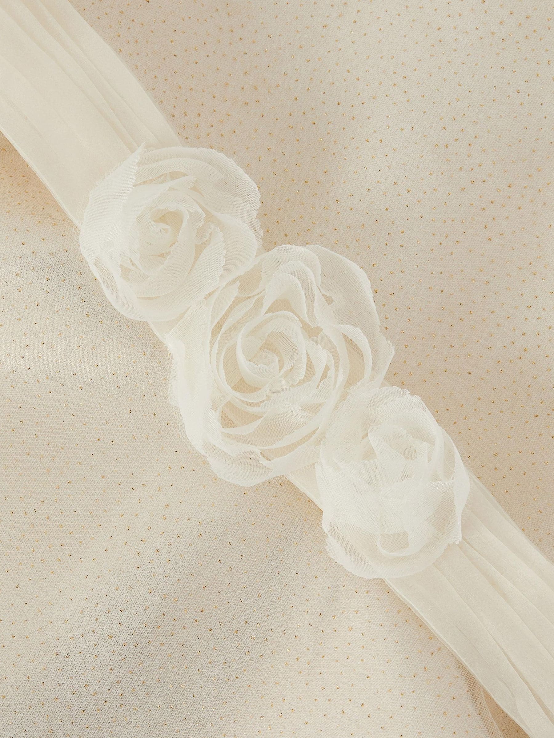 Monsoon Gold Principesa Appliqué Rose Sparkle Dress image 4
