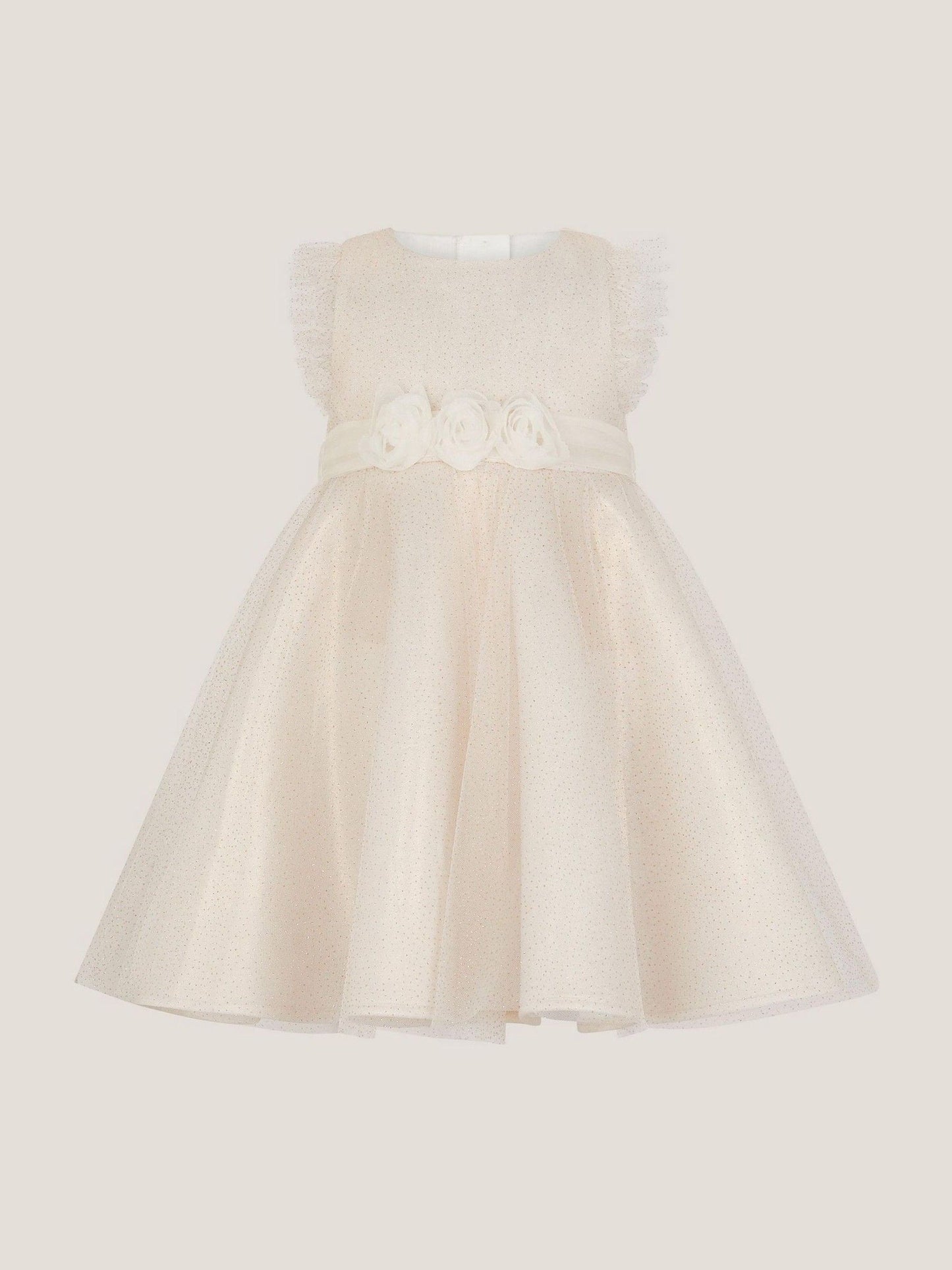 Monsoon Gold Baby Principesa Appliqué Rose Sparkle Dress image 2