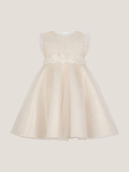 Monsoon Gold Baby Principesa Appliqué Rose Sparkle Dress image 2