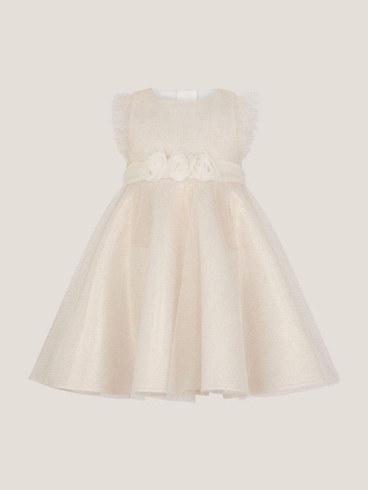 Monsoon Gold Baby Principesa Appliqué Rose Sparkle Dress image 2