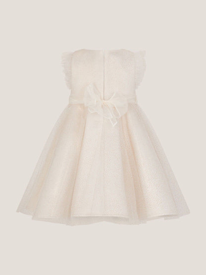 Monsoon Gold Baby Principesa Appliqué Rose Sparkle Dress image 3