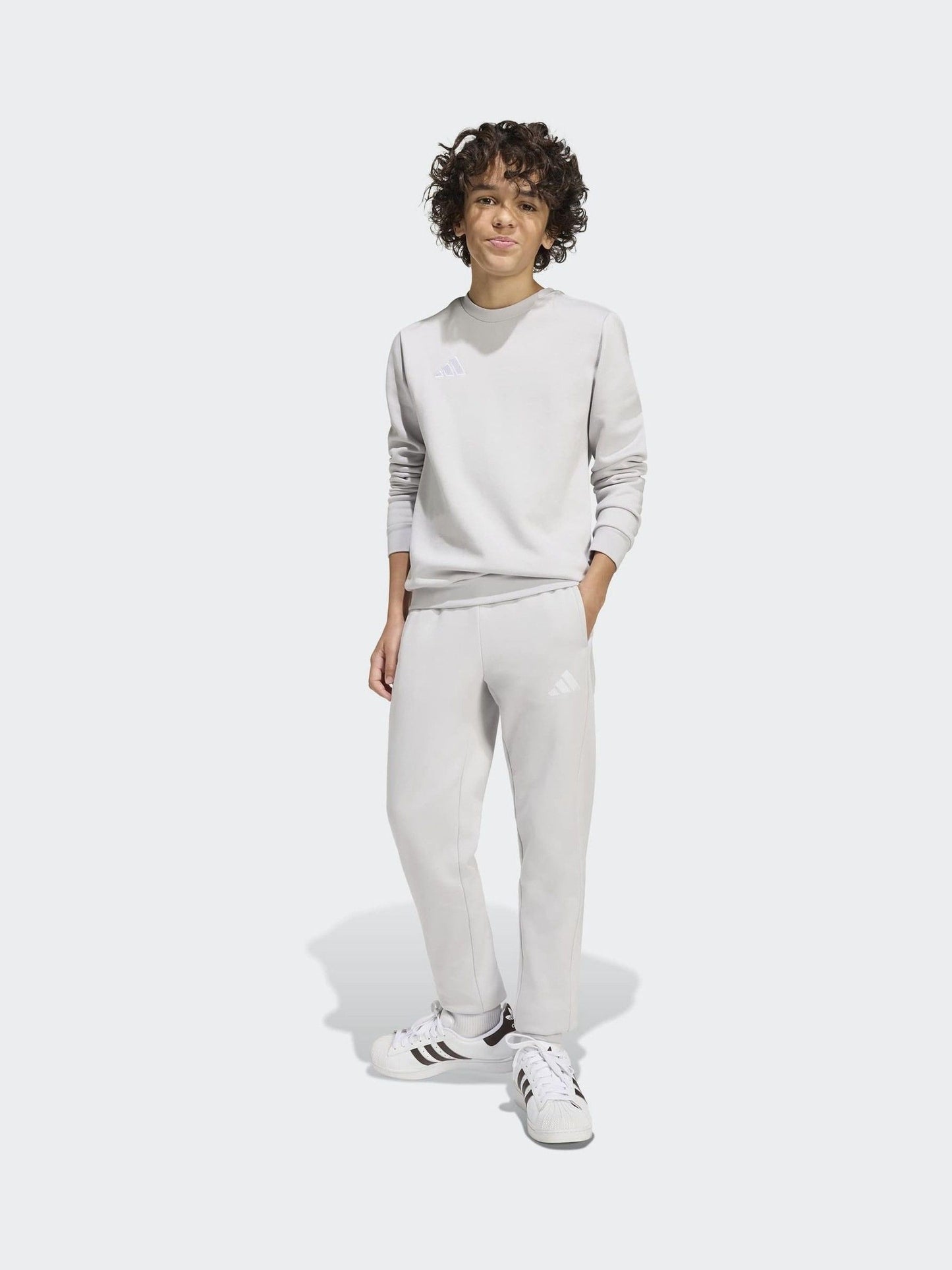 Dsiney Kidz - adidas Grey Entrada 26 Sweat Top image 1