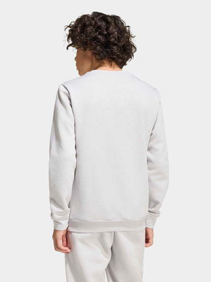Dsiney Kidz - adidas Grey Entrada 26 Sweat Top image 2