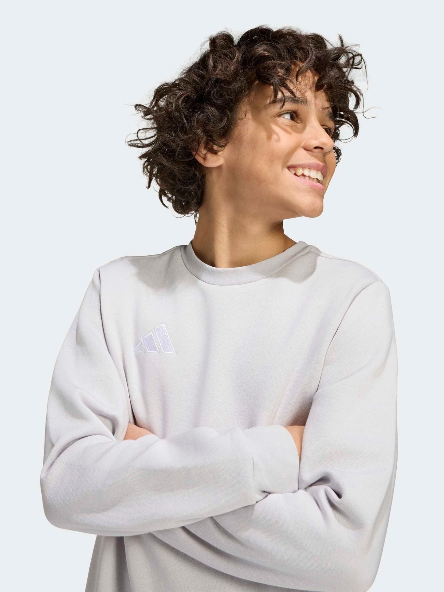 Dsiney Kidz - adidas Grey Entrada 26 Sweat Top image 3
