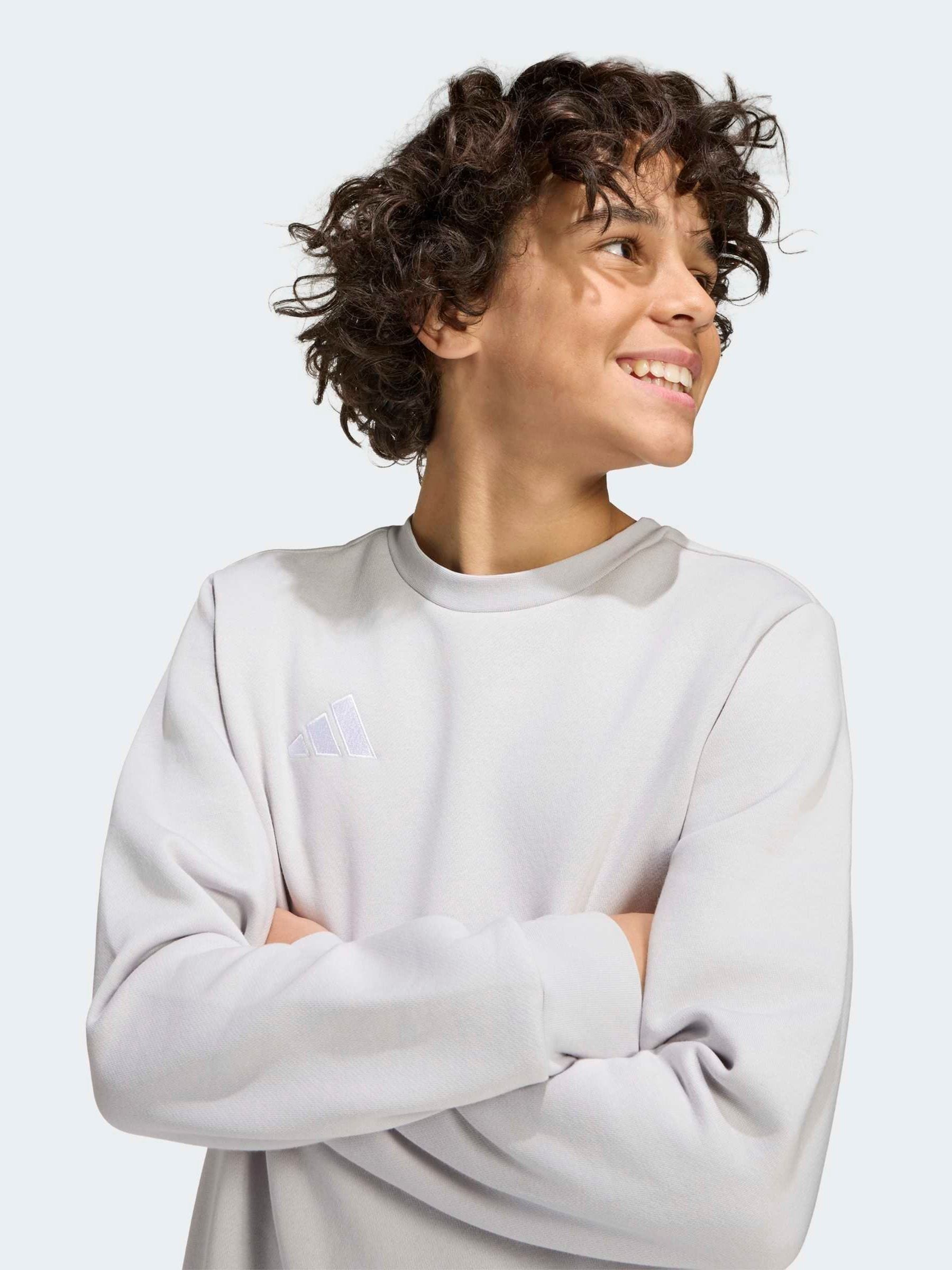 Dsiney Kidz - adidas Grey Entrada 26 Sweat Top image 3