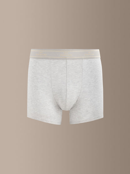Dsiney Kidz - Neutral 4 pack Signature Cotton Rich Trunks image 5