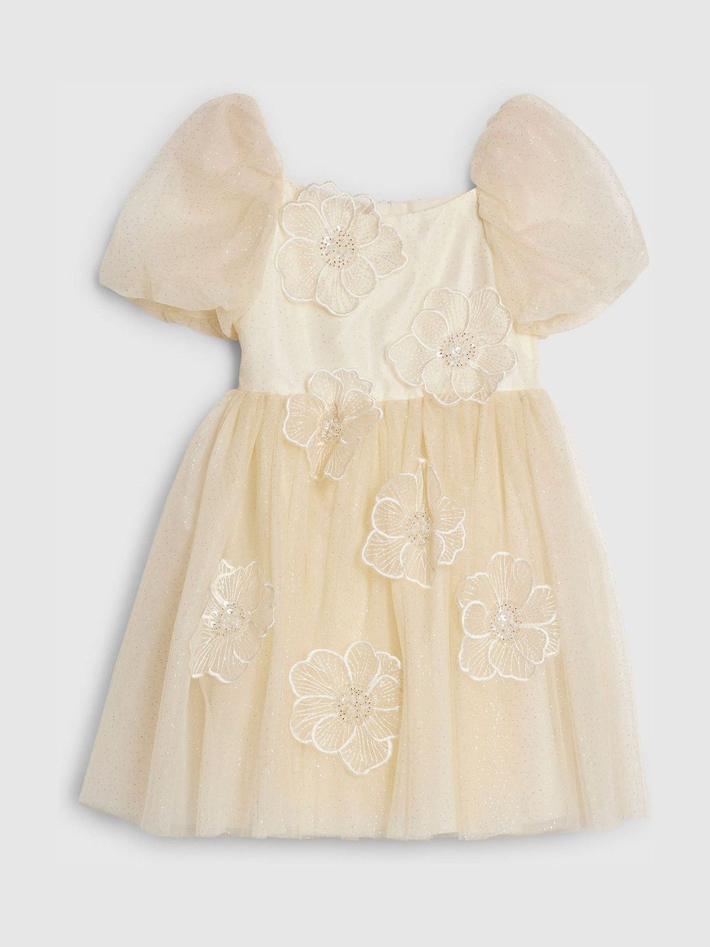 River Island Yellow Puff Sleeve Flower Embroidered Tulle Dress image 1
