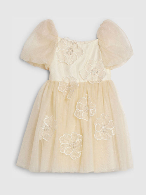 River Island Yellow Puff Sleeve Flower Embroidered Tulle Dress image 1
