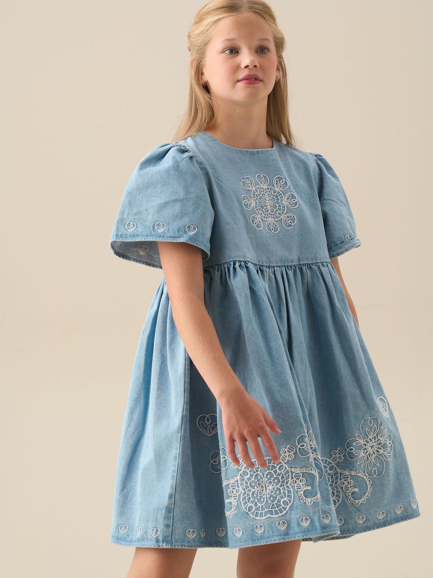 Angel & Rocket Blue Reyna Ivory Embroidered Swing Dress image 5
