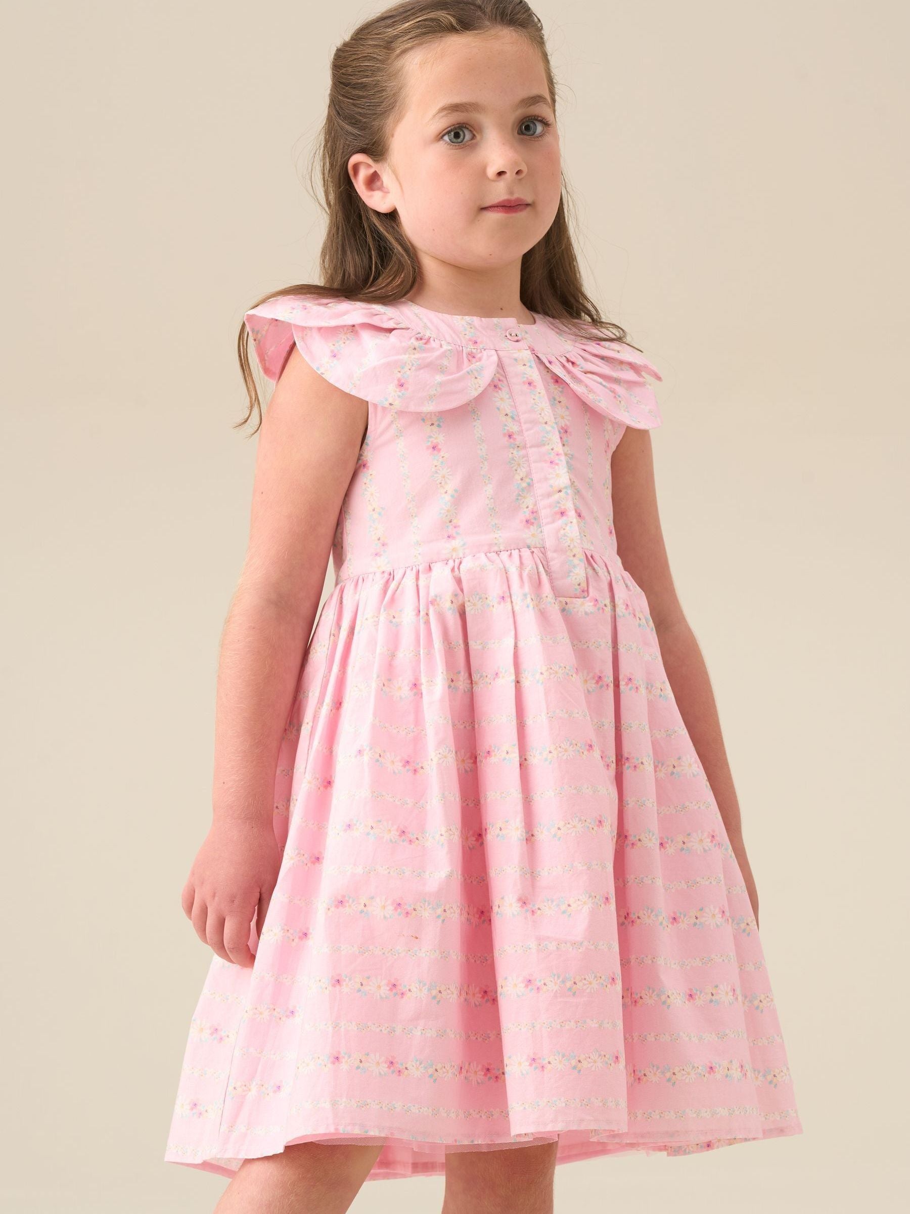 Angel & Rocket Pink Ellery Floral Stripe Petal Collar Dress image 2