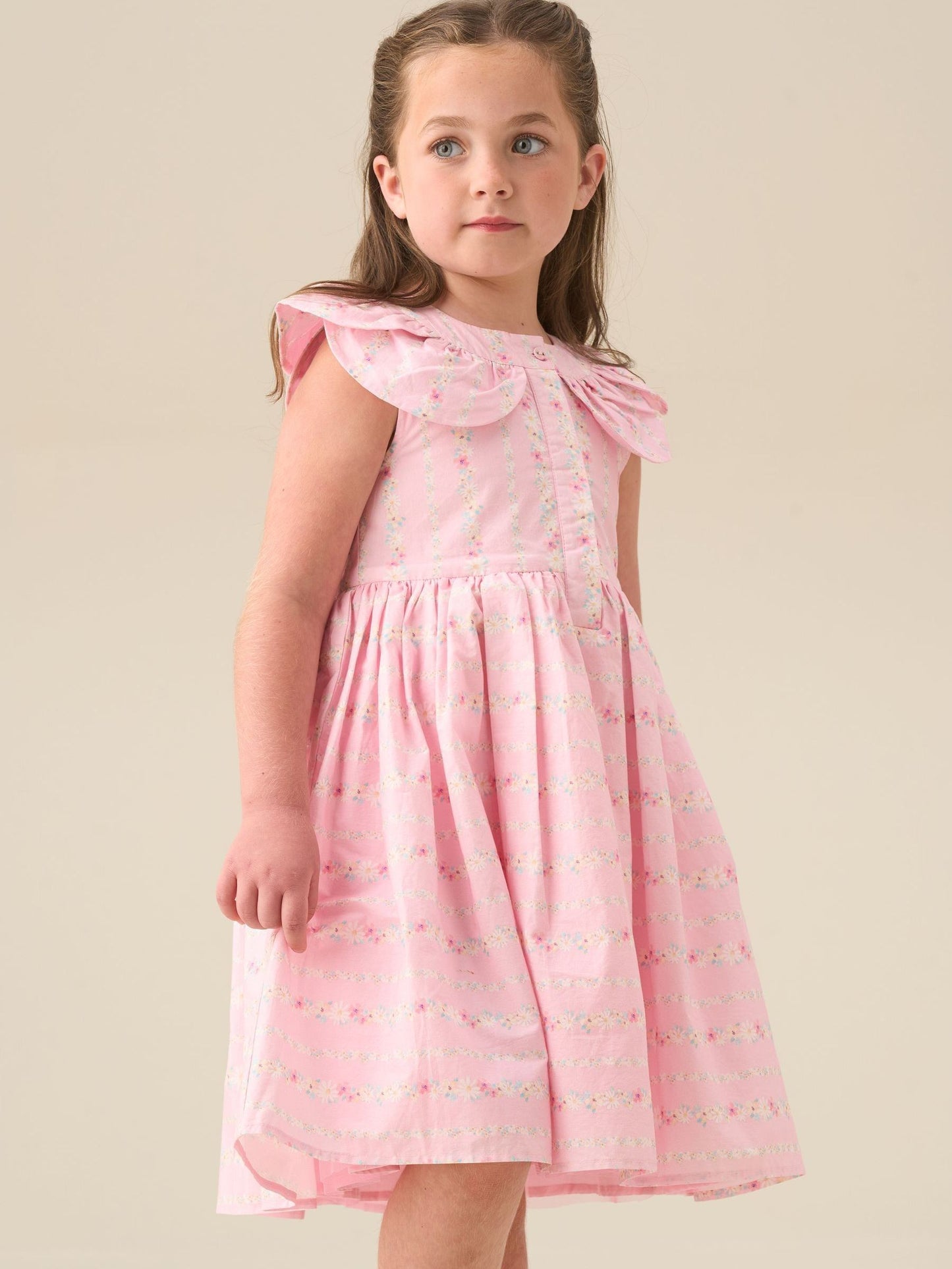 Angel & Rocket Pink Ellery Floral Stripe Petal Collar Dress image 5