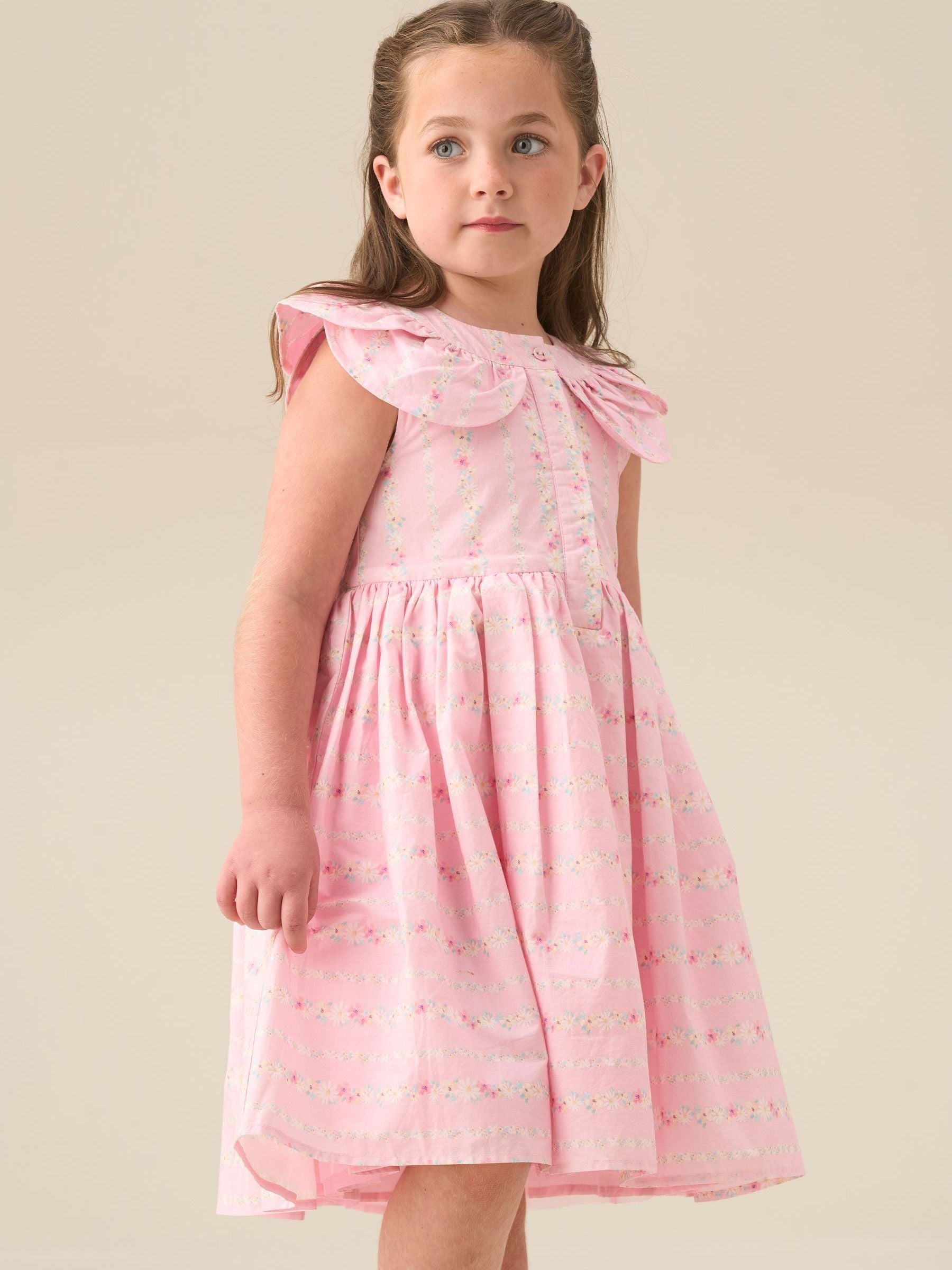 Angel & Rocket Pink Ellery Floral Stripe Petal Collar Dress image 5
