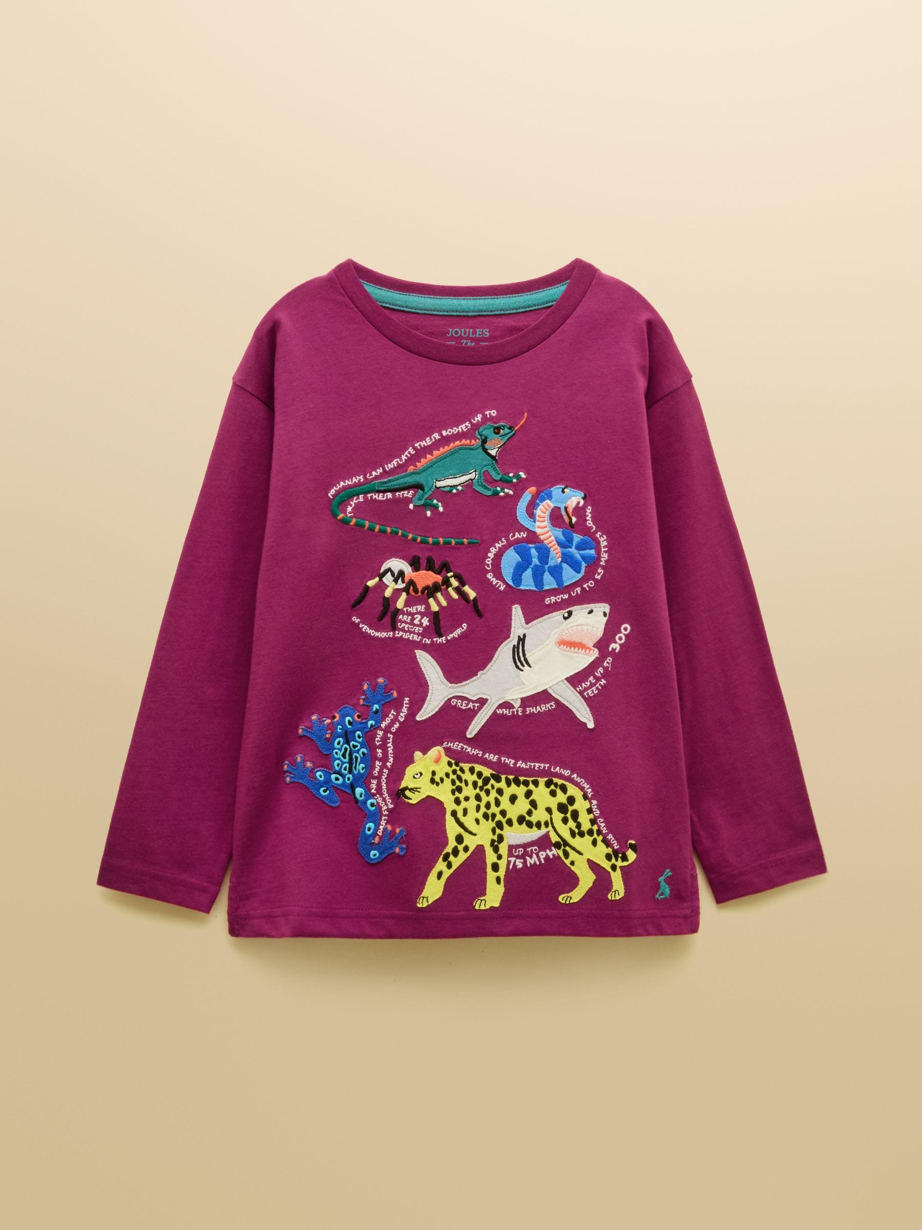 Dsiney Kidz - Joules Boys' Finlay Purple Long Sleeve Applique Graphic T-Shirt image 1