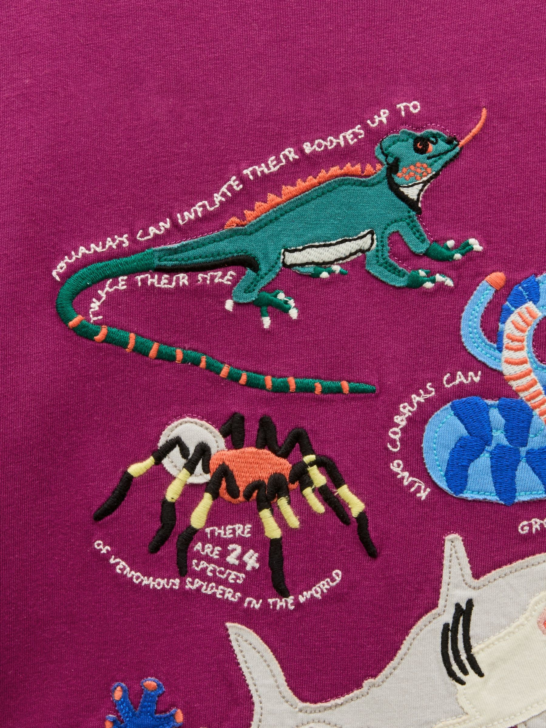 Dsiney Kidz - Joules Boys' Finlay Purple Long Sleeve Applique Graphic T-Shirt image 3