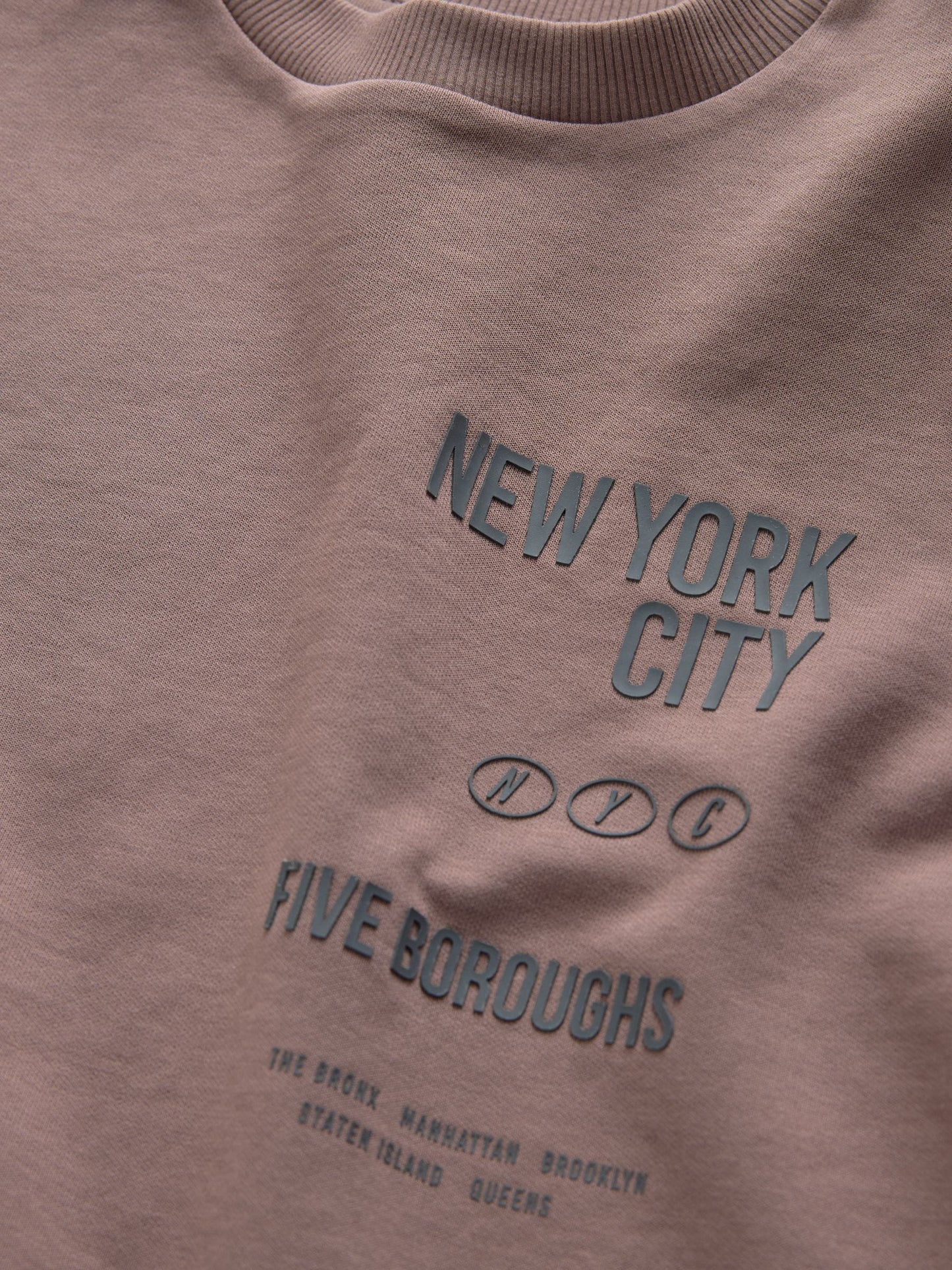 Dsiney Kidz - Mink Brown NY Graphic Heavyweight Short Sleeve T-Shirt (3-16yrs) image 3