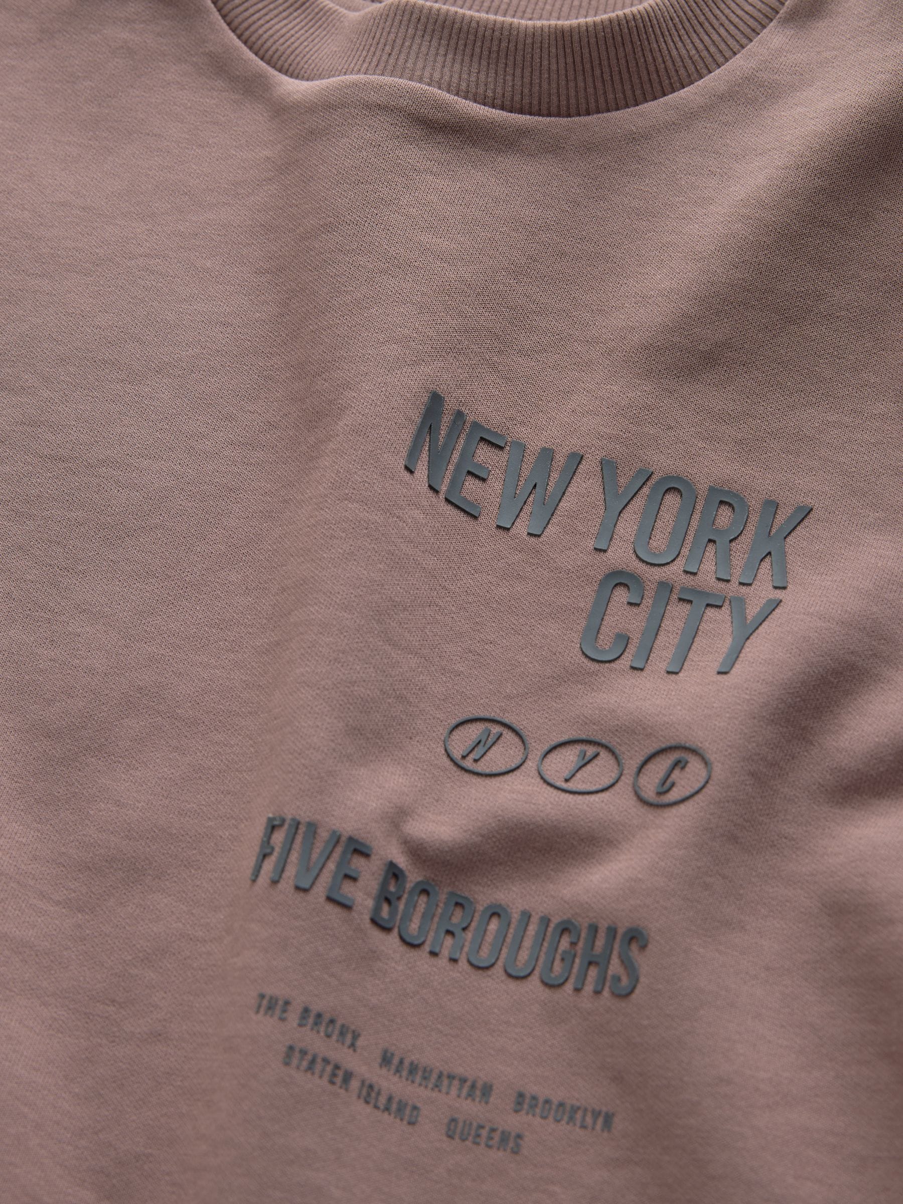 Dsiney Kidz - Mink Brown NY Graphic Heavyweight Short Sleeve T-Shirt (3-16yrs) image 3
