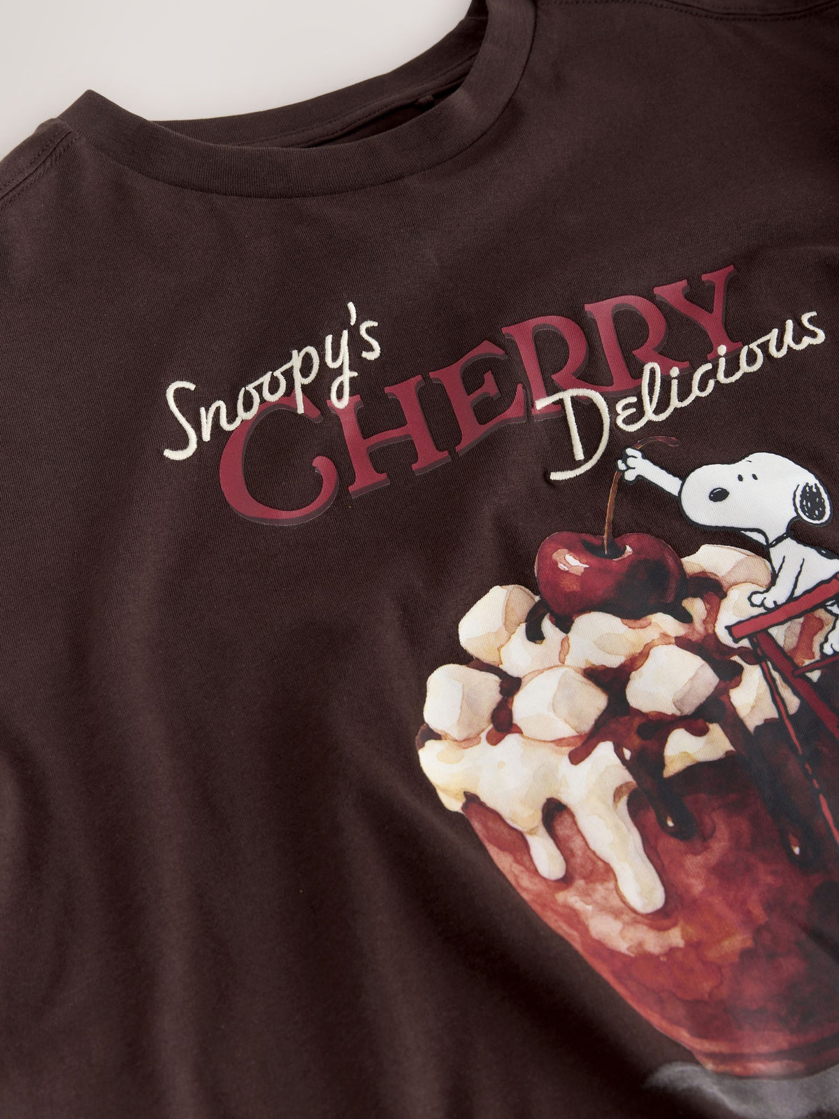 Brown Snoopy Licence Boxy Elbow Sleeve Crew Neck T-Shirt - image 6