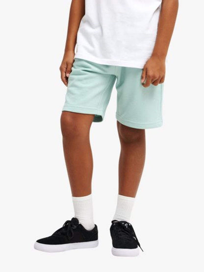 Dsiney Kidz - Quiksilver Blue Easy Day Logo Jogger Shorts image 1