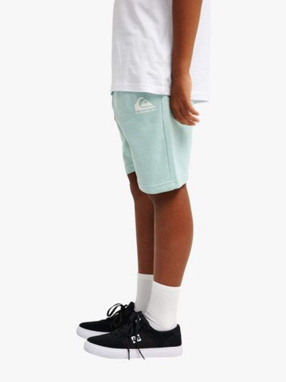Dsiney Kidz - Quiksilver Blue Easy Day Logo Jogger Shorts image 2