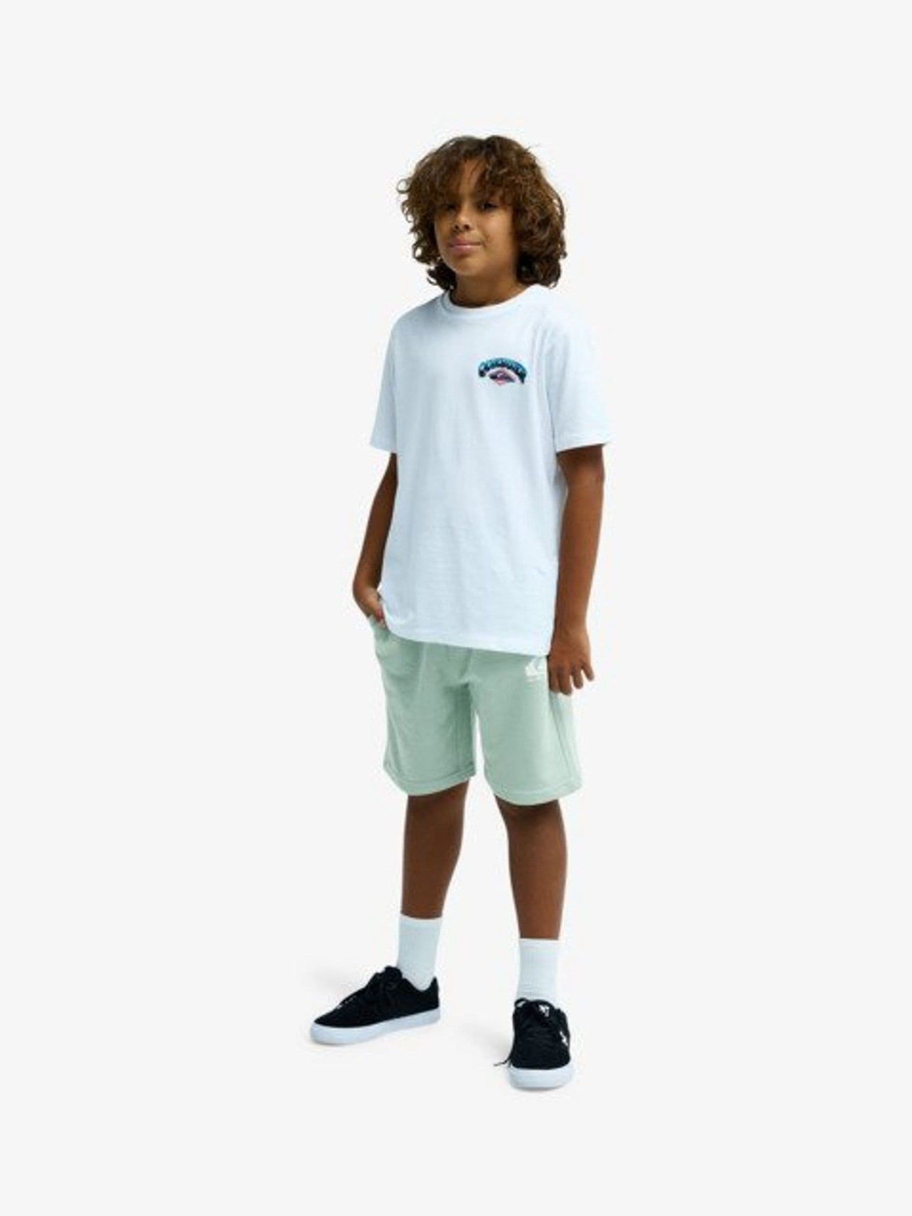 Dsiney Kidz - Quiksilver Blue Easy Day Logo Jogger Shorts image 4